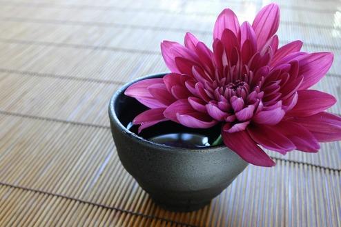 Vie Vitale Fitness Studio Elmshorn Wellness Sauna Massage