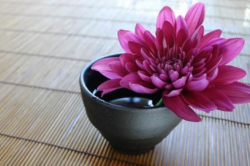 Wellness Sauna Massage